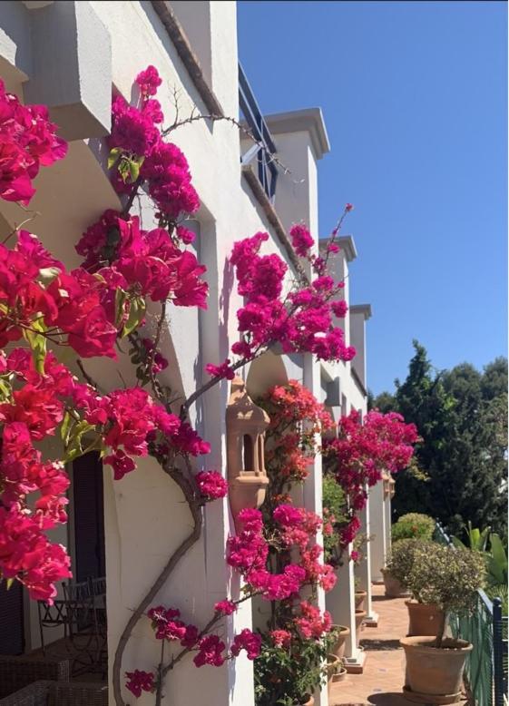 Boutique Hotel Maravilla - Marbella Benahavís Exteriér fotografie