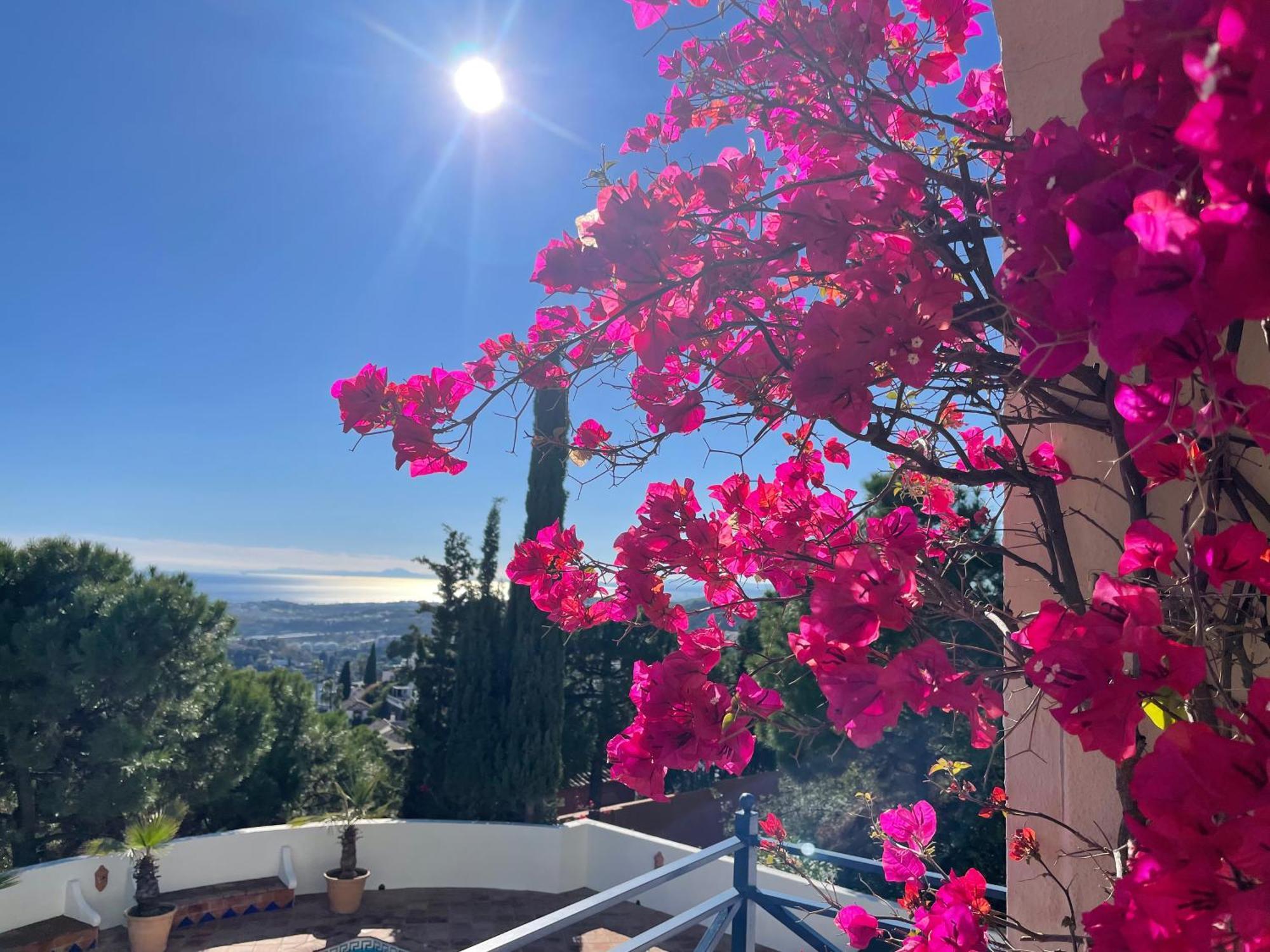 Boutique Hotel Maravilla - Marbella Benahavís Exteriér fotografie