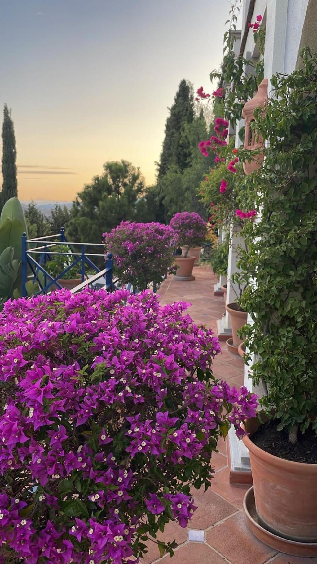 Boutique Hotel Maravilla - Marbella Benahavís Exteriér fotografie